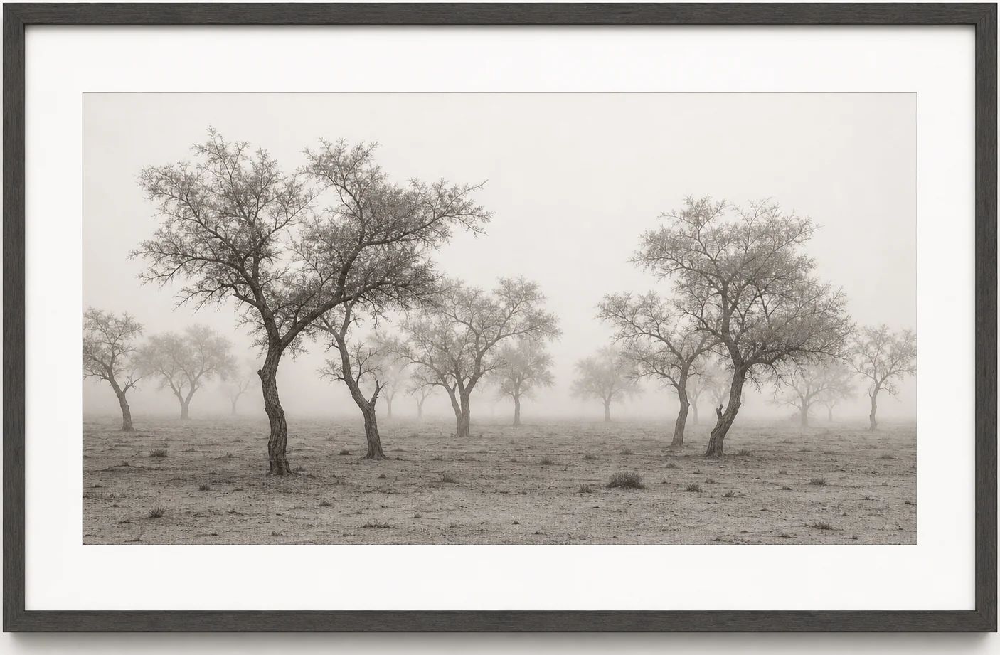 Ghaf Tree Study II, original artwork by Studio Sakaia, made to order